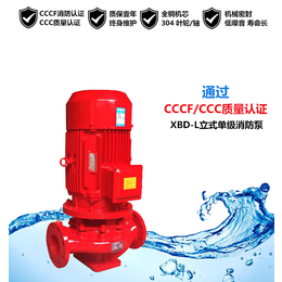 供应自动消火栓泵自动消防稳压泵3CF消防水泵卧式单级消防泵组缩略图