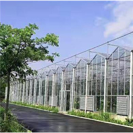 厂家出售  文洛式玻璃温室大棚  日光温室优势