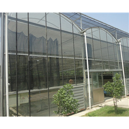  钢化玻璃温室大棚生产 连栋薄膜温室