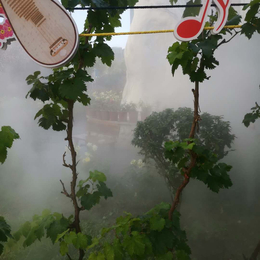 蚌埠景观雾森雾森造景园林景观造雾系统