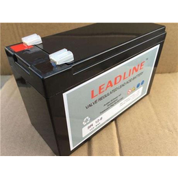 瑞士LEADLINE蓄电池EVR1280批发