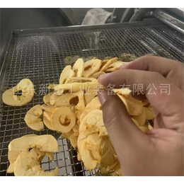 新迈工业-香港压差膨化干燥机生产商