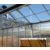 阳光板温室大棚价格 连栋玻璃温室供应缩略图4