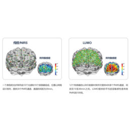英国UCL可穿戴高密度脑成像系统
