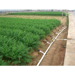 节水灌溉工程-润农节水灌溉(在线咨询)-丽江节水灌溉