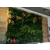 洛阳新乡室内外植物墙设计缩略图1