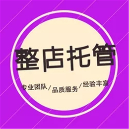 杭州淘宝天猫代运营网店代管理拼多多托管店铺装修美工设计
