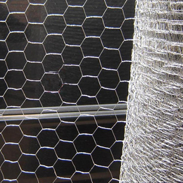 丝网厂家供应养殖六角铁丝网 可定制的鸡笼网 