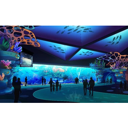 海南大型水族工程-认准好景至水族-大型水族工程设计