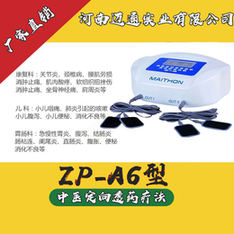 中药离子导入仪-调频脉冲电子*ZP-A6型