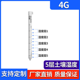 多层土壤水分检测仪 RS-5W5S-4G-TR-3 山东塞恩电子