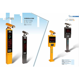 *识别停车场系统-大禾信息技术-重庆*识别