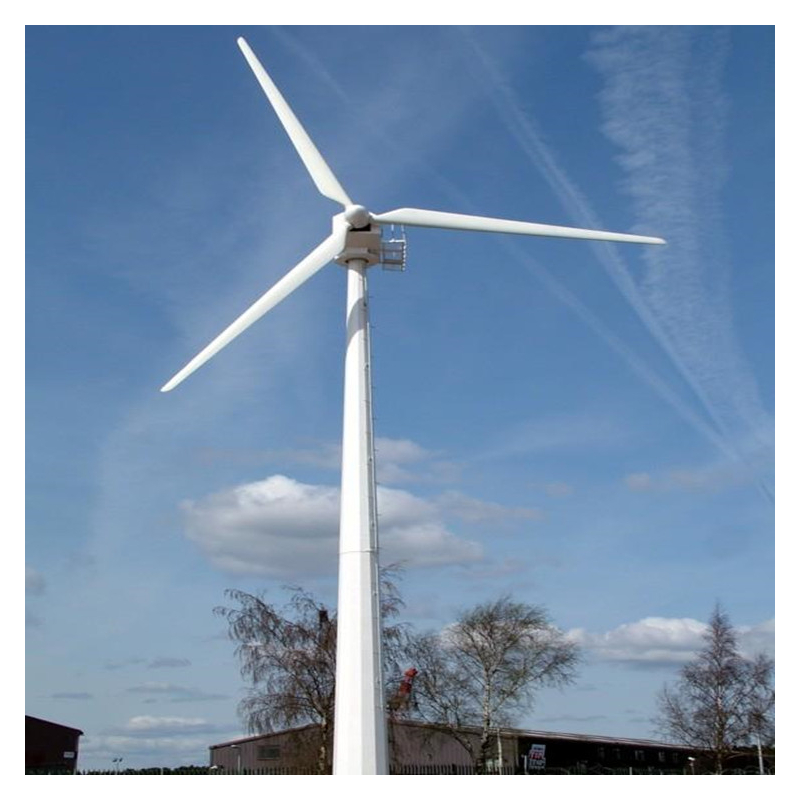 山东蓝润大型风力发电机园林用发电机环保节能