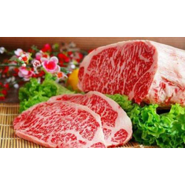 冻肉进口上海报关咨询流程