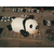 河南游乐设备熊猫岛王国乐园安装制作出租缩略图4
