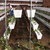 扬州草莓槽 立体种植架子 可生产定制--航迪厂家报价实惠缩略图4