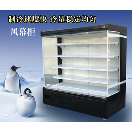 广安蔬菜风幕柜-达硕制冷设备生产(图)-蔬菜风幕柜批发