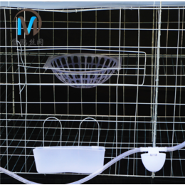 生产四层16位肉鸽养殖笼 自动配件