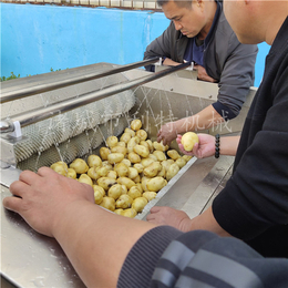 土豆自动去皮机联系方式 大姜清洗去皮机 蔬菜去皮机供应商利特