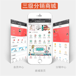 河南分销系统  系统定制    定制APP   