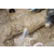 苏州供水管道漏水检测-地下消防水管查漏水检测缩略图3