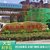 重庆大型黄蜡石园林景观刻字招牌石公园地名石校园校训景观石缩略图3