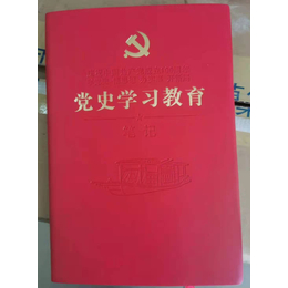 印刷制作党史学习笔记本档案盒100年纪念画册缩略图