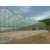 承接长沙玻璃智能温室大棚 薄膜连栋温室大棚缩略图1