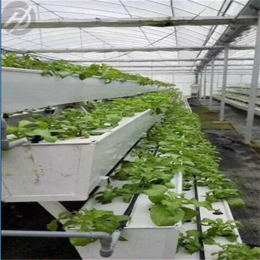 扬州草莓槽 立体种植架子 可生产定制--航迪厂家报价实惠