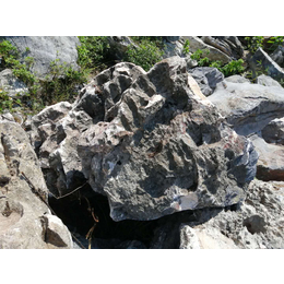 珠海石场大量供应英德石大英石   峰石   青龙石批发