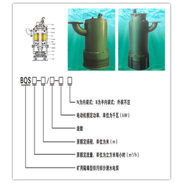 15KW矿用水泵 排沙排污潜水电泵