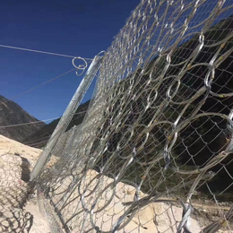 钢丝绳边坡防护网厂家*-衡沥网业-广安边坡防护网