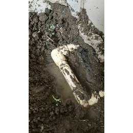 南沙地下水管漏水检测地下水管漏水点定位