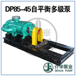 DP85-45X8自平衡泵