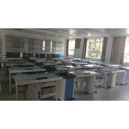 昌江黎族自治县中学理化生实验室成套设备  昌江理化生实验桌