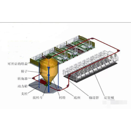 自动化喂猪料线供料系统喂猪定时下料厂家安装指导