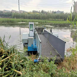 水塘除草船生产厂家 内陆湖泊大薸清理机械设备