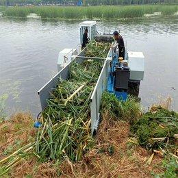 晟河全自动保洁船可定制水草收割船厂家直邮割草船芦苇收割船