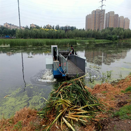 水葫芦打捞船 晟河全自动水草收割 厂家现货供应全自动保洁船