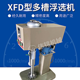 实验室多槽浮选机 XFD-12型变频温控式小型选矿浮选机