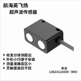 US22310B 电子测量超声波测量与接近传感器