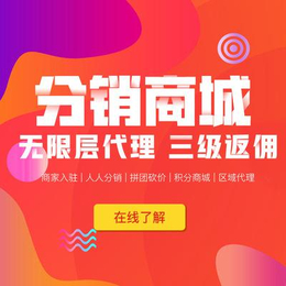 云集分销系统开发 现成系统 快速定制 源码案例