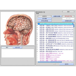 9D健康管家身体预警系统 9D检测仪 