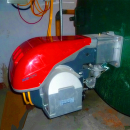 利雅路燃气燃烧器RS190涂装固化燃烧机熔炉印染烘干燃烧器
