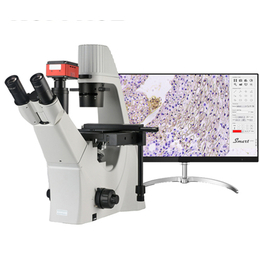 留辉科技 倒置生物显微镜 XDS-5 重庆显微镜专卖