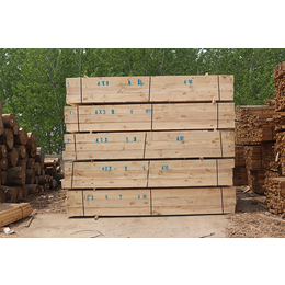 建筑模板方木-日照创亿木材厂家-建筑模板方木加工厂家