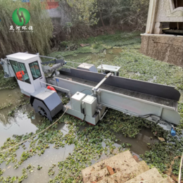 晟河清捞污染水草打捞机械全自动垃圾打捞船多功能割草船