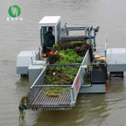 小型水库花生清理船水生植物收割打捞机械新型蓝藻打捞船