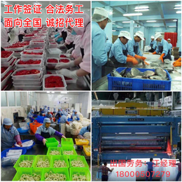 广州2021出国打工要多少钱招刮大白包吃住