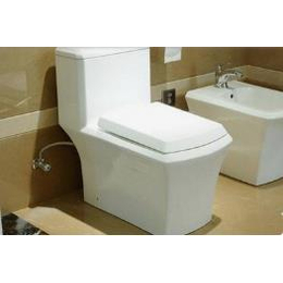 安装更换马桶厕所代理-快速安装更换马桶厕所型号